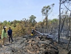 Tinjau Kebakaran Hutan, Ariastuty Imbau Masyarakat Waspadai Setiap Tindakan